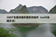 USDT充值详细步骤高效操作（usdt充值方法）