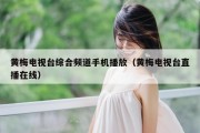 黄梅电视台综合频道手机播放（黄梅电视台直播在线）