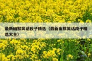 最新幽默笑话段子精选（最新幽默笑话段子精选大全）