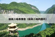 搞笑二哈表情包（搞笑二哈的图片）