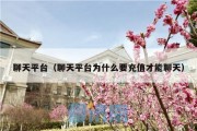 聊天平台（聊天平台为什么要充值才能聊天）