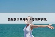 亮报属于央媒吗（亮报数字报）
