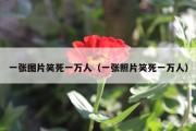 一张图片笑死一万人（一张照片笑死一万人）