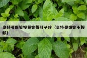 奥特曼爆笑视频笑得肚子疼（奥特曼爆笑小视频）