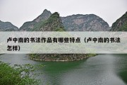 卢中南的书法作品有哪些特点（卢中南的书法怎样）
