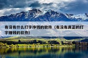有没有什么打字挣钱的软件（有没有真正的打字赚钱的软件）