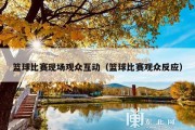 篮球比赛现场观众互动（篮球比赛观众反应）