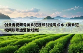 创业者视频号美食短视频引流零成本（美食短视频账号运营策划案）