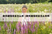 聊天赚钱项目怎么样（聊天赚钱项目怎么样啊）