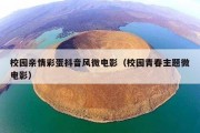 校园亲情彩蛋抖音风微电影（校园青春主题微电影）
