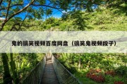 鬼的搞笑视频百度网盘（搞笑鬼视频段子）