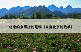 北京的来哥指的是谁（来自北京的歌手）