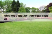 伤感短视频可保存15秒（伤感视频可以保存的）