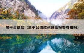 黑平台借款（黑平台借款利息高报警有用吗）