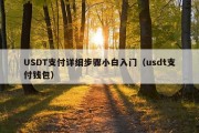 USDT支付详细步骤小白入门（usdt支付钱包）