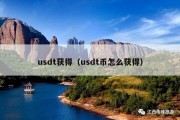 usdt获得（usdt币怎么获得）