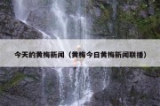 今天的黄梅新闻（黄梅今日黄梅新闻联播）