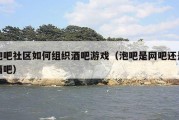 泡吧社区如何组织酒吧游戏（泡吧是网吧还是酒吧）