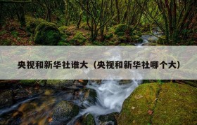 央视和新华社谁大（央视和新华社哪个大）
