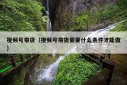 视频号带货（视频号带货需要什么条件才能做）