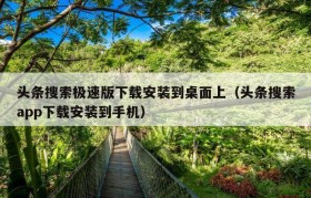 头条搜索极速版下载安装到桌面上（头条搜索app下载安装到手机）