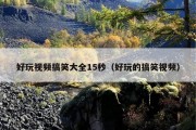 好玩视频搞笑大全15秒（好玩的搞笑视频）