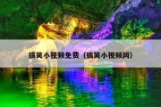 搞笑小视频免费（搞笑小视频网）