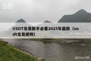 USDT交易新手必看2025年最新（usdt交易规则）