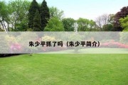 朱少平抓了吗（朱少平简介）