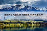 急需两百元怎么办（急需要2000元怎么办）