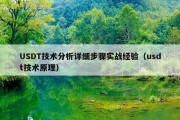 USDT技术分析详细步骤实战经验（usdt技术原理）