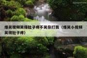 爆笑视频笑得肚子疼不笑你打我（爆笑小视频笑得肚子疼）