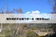 赚快钱的平台哪个好一点（赚快钱app）
