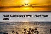 校园成长诗意国风美学微电影（校园微电影作品名字）