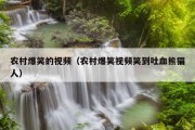 农村爆笑的视频（农村爆笑视频笑到吐血熊猫人）