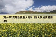 湖人等5支球队需重大交易（湖人队的交易情况）