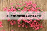 春日校园亲情地铁同座4K的简单介绍