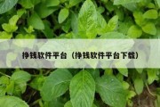 挣钱软件平台（挣钱软件平台下载）