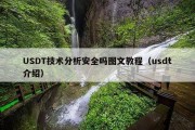 USDT技术分析安全吗图文教程（usdt介绍）