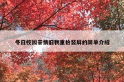 冬日校园亲情旧物重拾竖屏的简单介绍