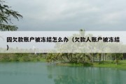 因欠款账户被冻结怎么办（欠款人账户被冻结）