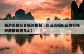 西游恶搞配音搞笑视频（西游恶搞配音搞笑视频唐僧昧着良心）