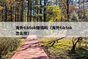 海外tiktok赚钱吗（海外tiktok怎么样）