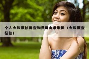 个人大数据信用查询费用由谁承担（大数据查征信）
