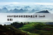 USDT技术分析流程快速上手（usdt 交易）