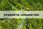 花季直播在哪下载（花季直播在哪下载啊）