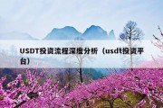 USDT投资流程深度分析（usdt投资平台）