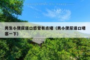 男生小便尿道口感觉有点堵（男小便尿道口堵塞一下）