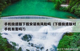 手机极速版下载安装有风险吗（下载极速版对手机有害吗?）