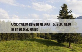 USDT钱包教程使用说明（usdt 钱包里的钱怎么提现）